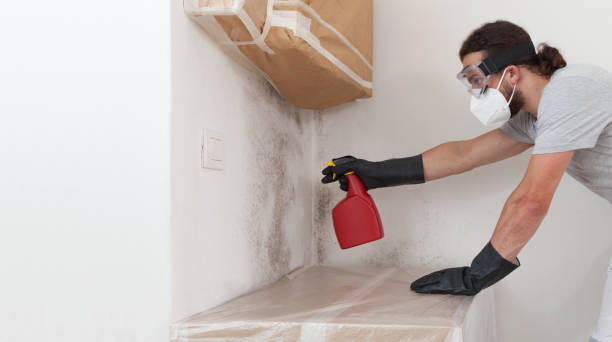Professional Bathroom Mold Removal technician working in Atlantic Beach, NY